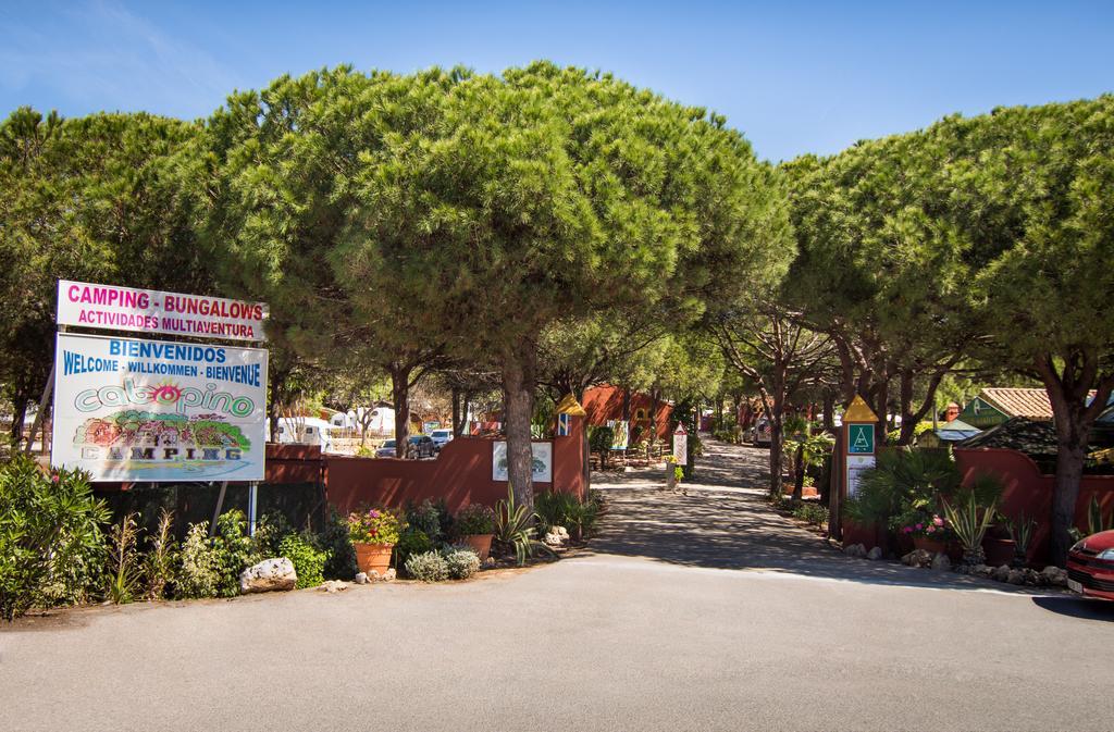 Complejo Turistico & Camping Cabopino 马尔韦利亚 外观 照片